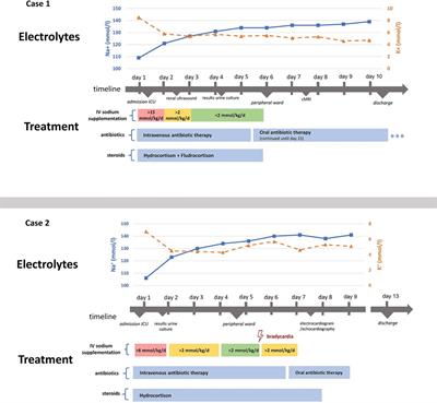 Case report: Life threatening hyponatremia in infants with urinary tract infections: two cases of type III pseudohypoaldosteronism and review of the literature